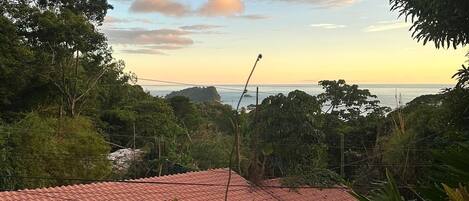 View of Manuel Antonio National park from living area of Queen suite.