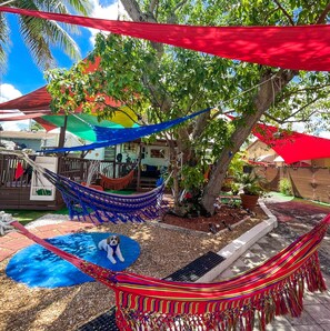 3 large hammocks to relax under the shade : )