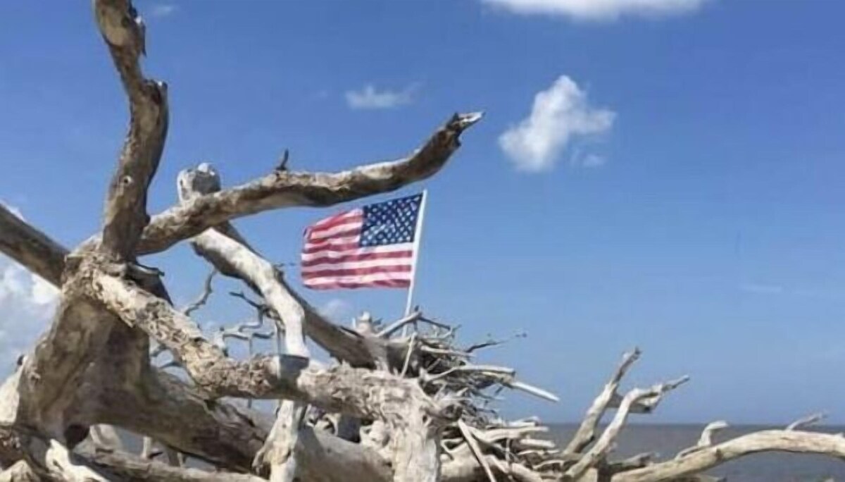 World Famous Driftwood Beach! 20% weekly discount.
