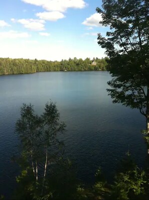 Järvi