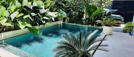Private pool just for you. There is bench seating inside the pool to sit around