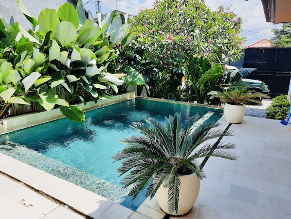 Private pool just for you. There is bench seating inside the pool to sit around