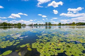 Oklassificerad bild, 2 av 44, knapp