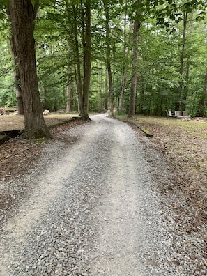 Walk/cart way to the lake