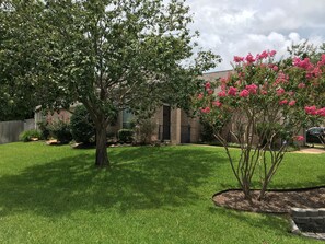 Side view of house - beautiful landscaping!