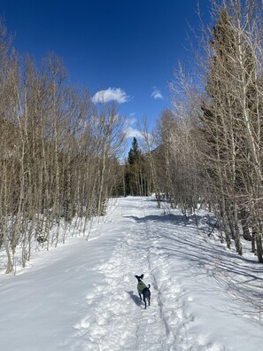 Wintersport/Ski