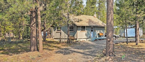 La Pine Vacation Rental Cabin | 1BR | 1BA | Single Story | 500 Sq Ft