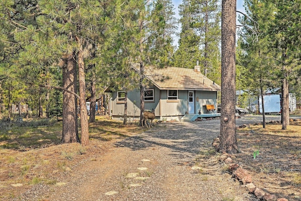 La Pine Vacation Rental Cabin | 1BR | 1BA | Single Story | 500 Sq Ft