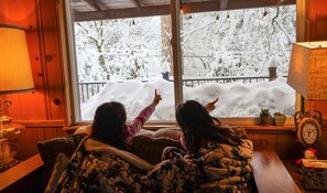 Your children would love to watch falling snowflakes in the cozy living room.