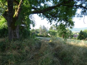 Terrain de l’hébergement 