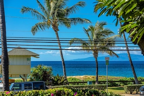 Watch the palm trees sway from your private lanai