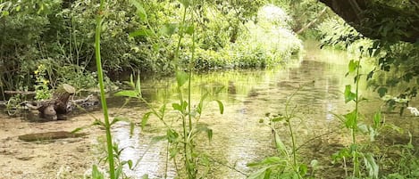 Terrenos do alojamento