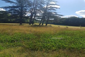 Terrain de l’hébergement 