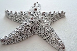 Détail de l’intérieur