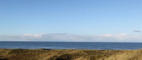 Dünen- und Meerblick