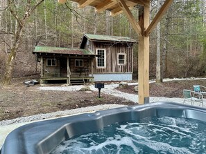 White Pines from the new hot tub!