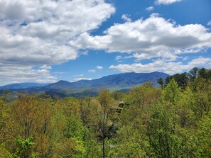 Beautiful early spring view.
