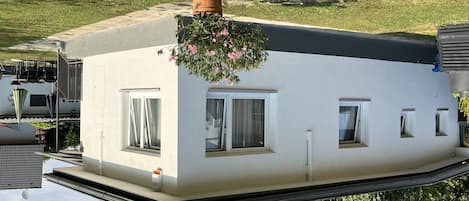 Building, Property, Window, Plant, House, Real Estate, Street Light, Roof, Cottage, Urban Design