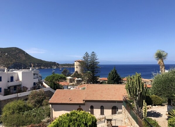 Beach/ocean view