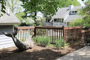 Pool View/Common Area