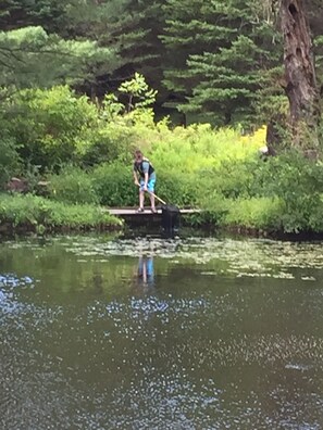 Lake