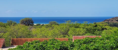 Beautiful ocean view from living room.