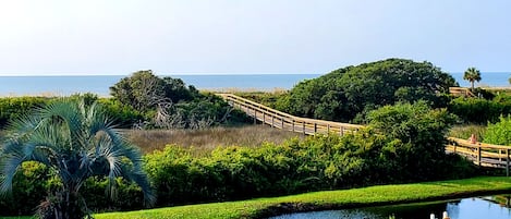 View from the balcony, just steps from the beach boardwalk. Unit is the 5th in.