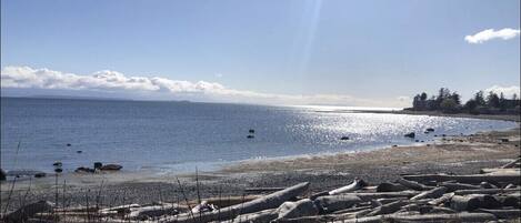 View of the ocean from across the road