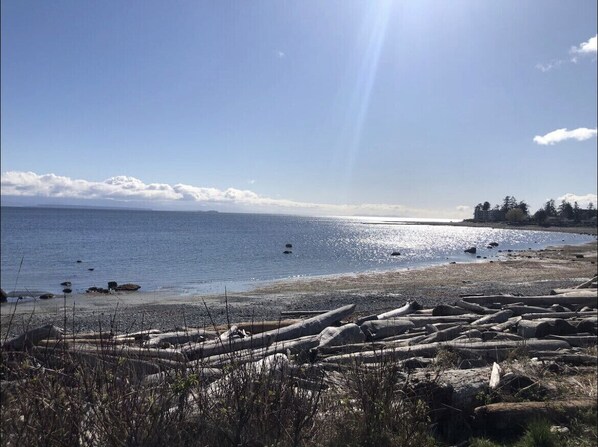 View of the ocean from across the road