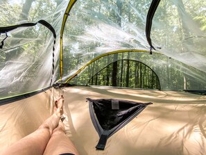 Inside the tent without the rain fly. 