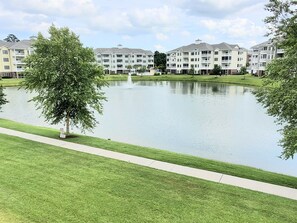 View from Balcony