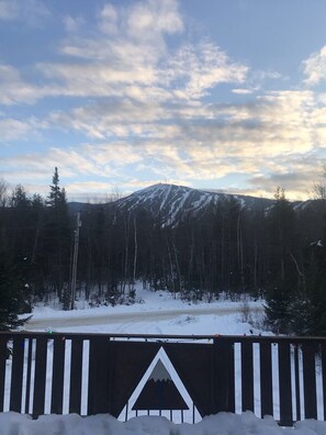 View from upper level - winter.