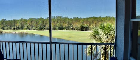 View of Pond and 14th Fairway of Cedar Hammock Golf Course