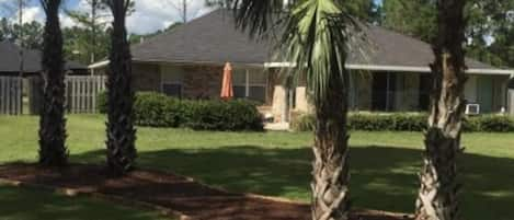 Front and back of house landscaped with palms!