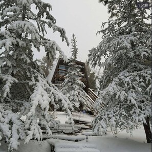 Under the snow