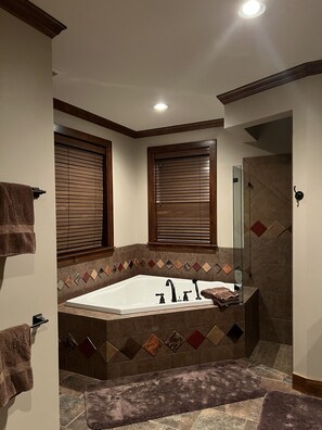 Downstairs Master Bath