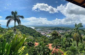 Panoramic Views (1)