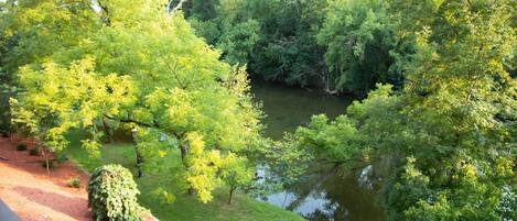 Beautiful Pigeon River view from balcony