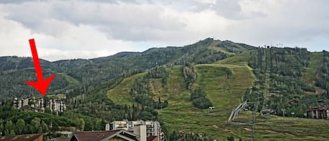Stunning Summer Views