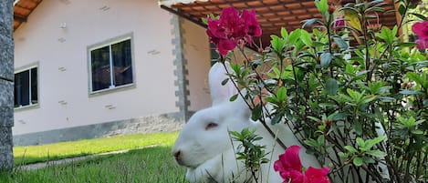 Jardines del alojamiento