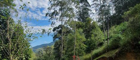 Gramado com área para fogueira