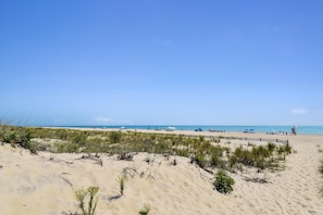 Exterior,Beach,