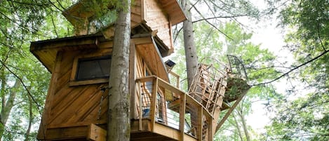 Observatory Tree House