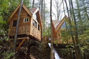 A view of the kitchen and bedroom treehouses and slide.