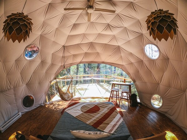View of the interior of the dome