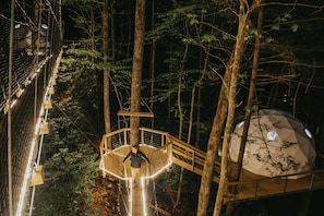 Landing and walkway