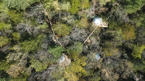 Birdseye view