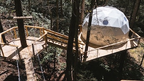 The dome and entryway
