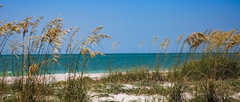 Spiaggia