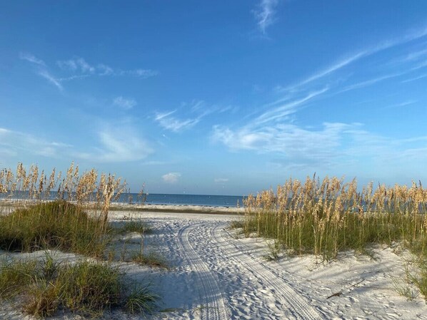 Strand